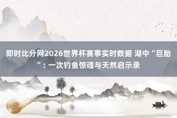 即时比分网2026世界杯赛事实时数据 湖中“巨胎”: 一次钓鱼惊魂与天然启示录