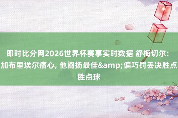 即时比分网2026世界杯赛事实时数据 舒梅切尔: 为加布里埃尔痛心, 他阐扬最佳&偏巧罚丢决胜点球
