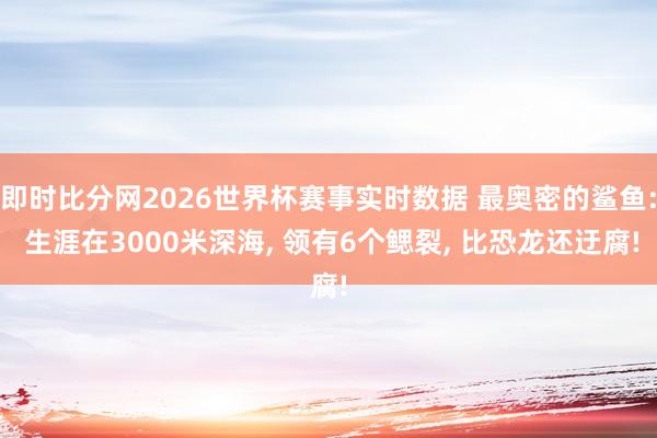 即时比分网2026世界杯赛事实时数据 最奥密的鲨鱼: 生涯在3000米深海, 领有6个鳃裂, 比恐龙还迂腐!